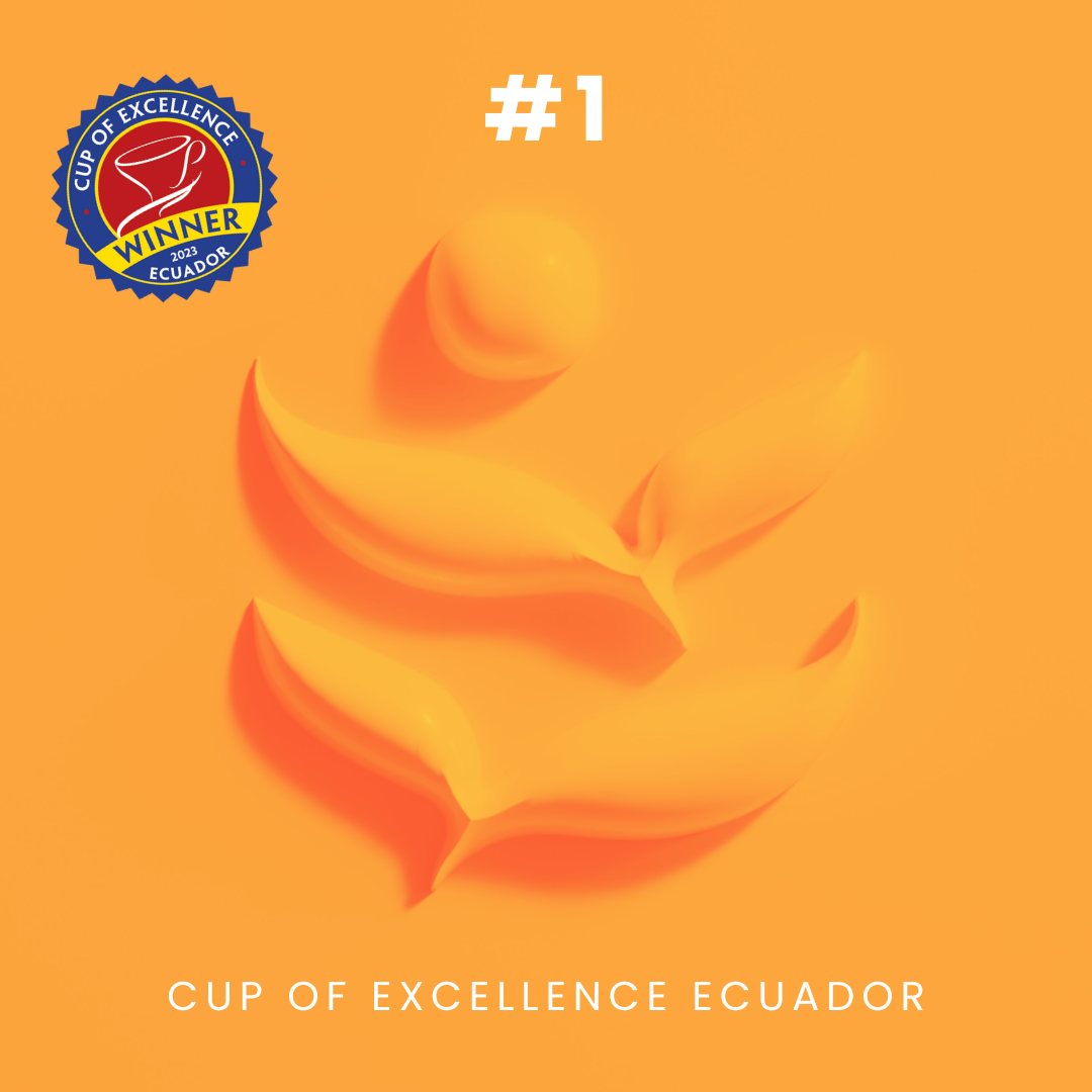 Cup of Excellence Ecuador Community Buy