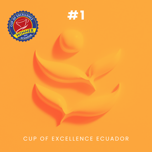 Cup of Excellence #1 Ecuador Lot