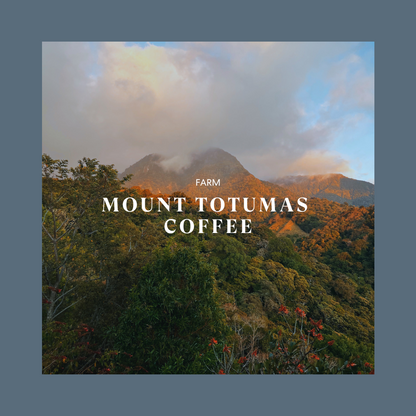 Mt. Totumas Special Release Lot B